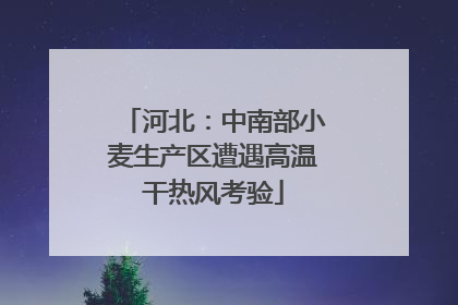 河北：中南部小麦生产区遭遇高温干热风考验