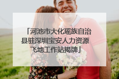 河池市大化瑶族自治县驻深圳宝安人力资源飞地工作站揭牌