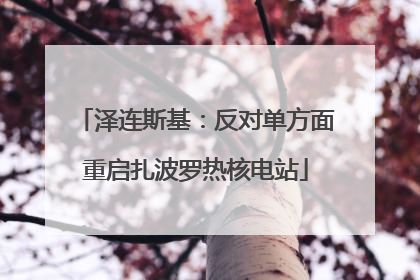 泽连斯基：反对单方面重启扎波罗热核电站