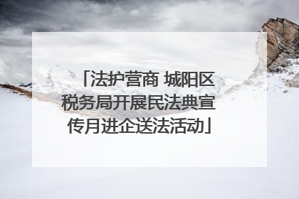 法护营商 城阳区税务局开展民法典宣传月进企送法活动