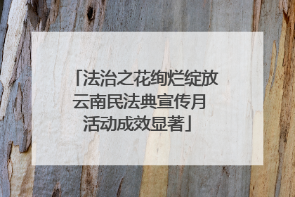 法治之花绚烂绽放 云南民法典宣传月活动成效显著