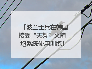 波兰士兵在韩国接受“天舞”火箭炮系统使用训练