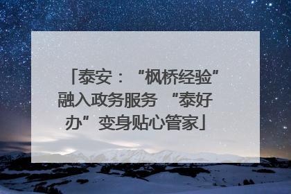 泰安：“枫桥经验”融入政务服务 “泰好办”变身贴心管家