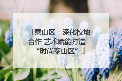 泰山区：深化校地合作 艺术赋能打造“时尚泰山区”