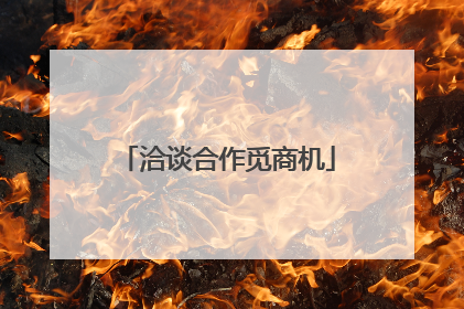 洽谈合作觅商机