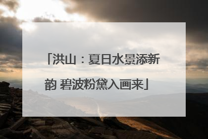 洪山：夏日水景添新韵 碧波粉黛入画来