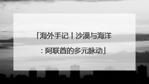 海外手记丨沙漠与海洋：阿联酋的多元脉动