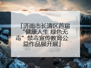 济南市长清区首届“健康人生 绿色无毒”禁毒宣传教育公益作品展开展