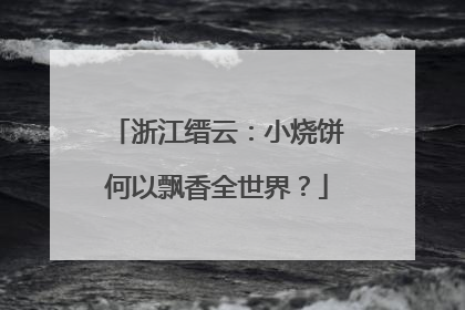 浙江缙云：小烧饼何以飘香全世界？