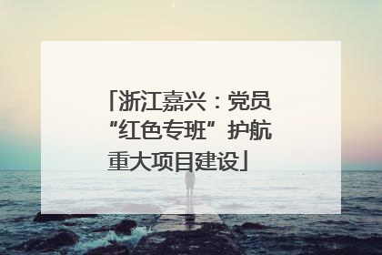 浙江嘉兴：党员“红色专班”护航重大项目建设