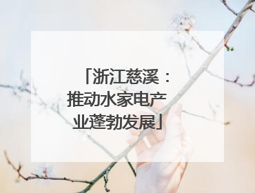 浙江慈溪：推动水家电产业蓬勃发展