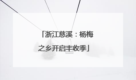 浙江慈溪：杨梅之乡开启丰收季
