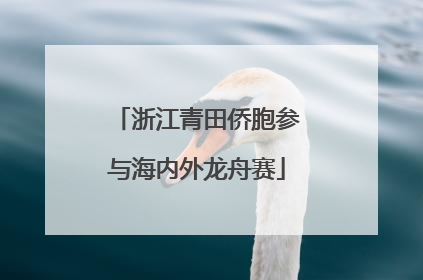 浙江青田侨胞参与海内外龙舟赛