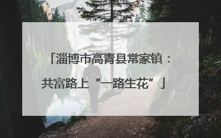 淄博市高青县常家镇：共富路上“一路生花”