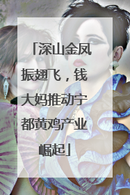 深山金凤振翅飞，钱大妈推动宁都黄鸡产业崛起