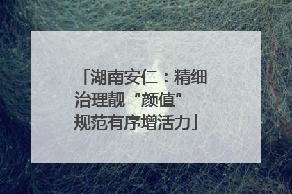 湖南安仁：精细治理靓“颜值” 规范有序增活力