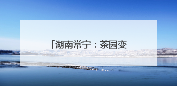 湖南常宁：茶园变课堂 学生采茶忙
