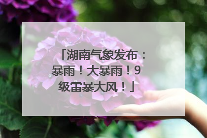 湖南气象发布：暴雨！大暴雨！9级雷暴大风！