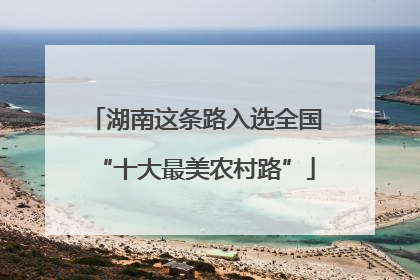 湖南这条路入选全国“十大最美农村路”