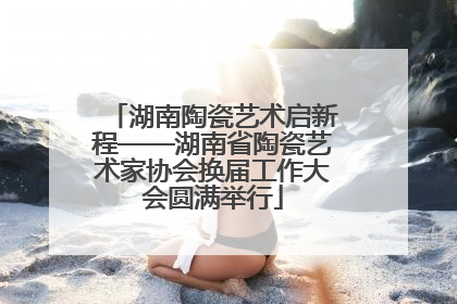 湖南陶瓷艺术启新程——湖南省陶瓷艺术家协会换届工作大会圆满举行