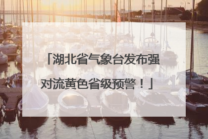 湖北省气象台发布强对流黄色省级预警！