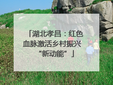 湖北孝昌：红色血脉激活乡村振兴“新动能”