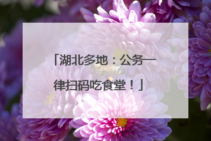 湖北多地：公务一律扫码吃食堂！