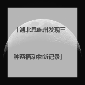 湖北恩施州发现三种两栖动物新记录