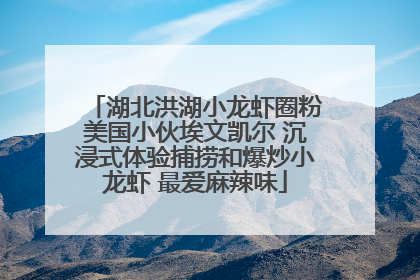 湖北洪湖小龙虾圈粉美国小伙埃文凯尔 沉浸式体验捕捞和爆炒小龙虾 最爱麻辣味