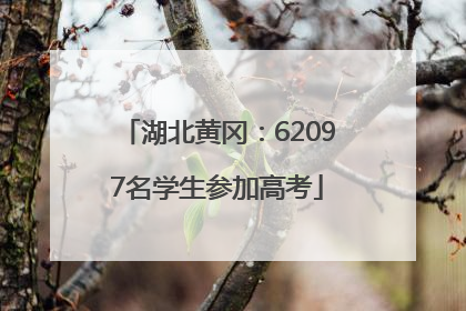 湖北黄冈：62097名学生参加高考