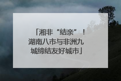 湘非“结亲”！湖南八市与非洲九城缔结友好城市