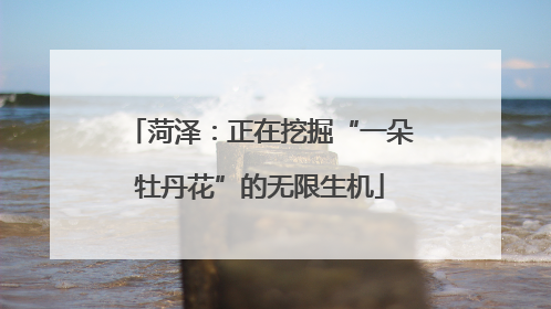 菏泽：正在挖掘“一朵牡丹花”的无限生机