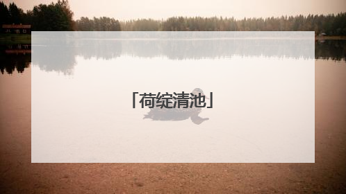 荷绽清池