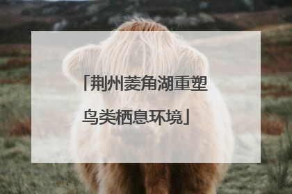 荆州菱角湖重塑鸟类栖息环境