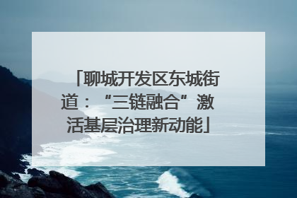 聊城开发区东城街道：“三链融合”激活基层治理新动能