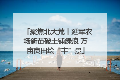 聚焦北大荒丨延军农场新苗破土铺绿浪 万亩良田绘“丰”景
