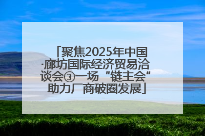 聚焦2025年中国·廊坊国际经济贸易洽谈会③一场“链主会” 助力厂商破圈发展