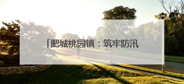 肥城桃园镇：筑牢防汛屏障，守护群众安全
