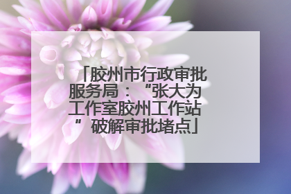 胶州市行政审批服务局：“张大为工作室胶州工作站”破解审批堵点