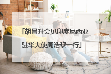 胡昌升会见印度尼西亚驻华大使周浩黎一行