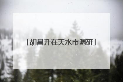 胡昌升在天水市调研