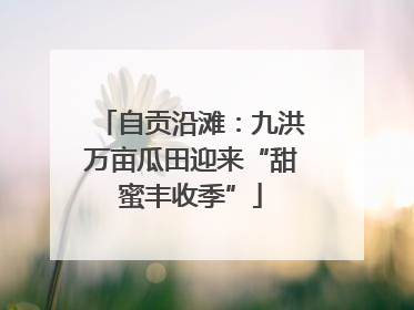 自贡沿滩：九洪万亩瓜田迎来“甜蜜丰收季”