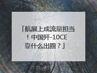 航展上成流量担当！中国歼-10CE靠什么出圈？