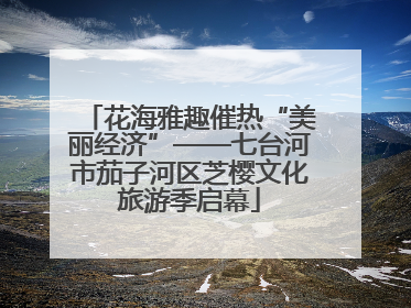 花海雅趣催热“美丽经济”——七台河市茄子河区芝樱文化旅游季启幕