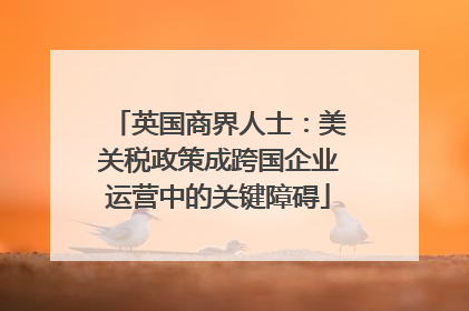 英国商界人士：美关税政策成跨国企业运营中的关键障碍