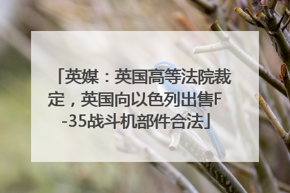 英媒：英国高等法院裁定，英国向以色列出售F-35战斗机部件合法