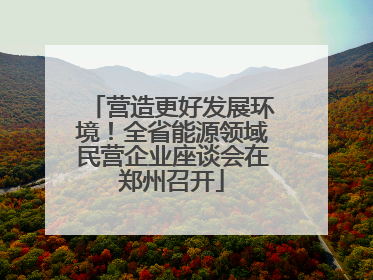 营造更好发展环境！全省能源领域民营企业座谈会在郑州召开