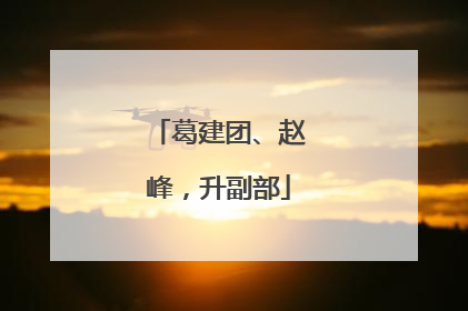 葛建团、赵峰，升副部