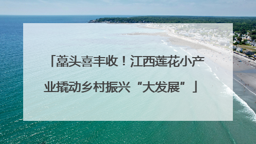 藠头喜丰收！江西莲花小产业撬动乡村振兴“大发展”