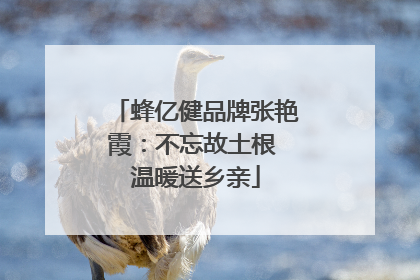 蜂亿健品牌张艳霞：不忘故土根 温暖送乡亲